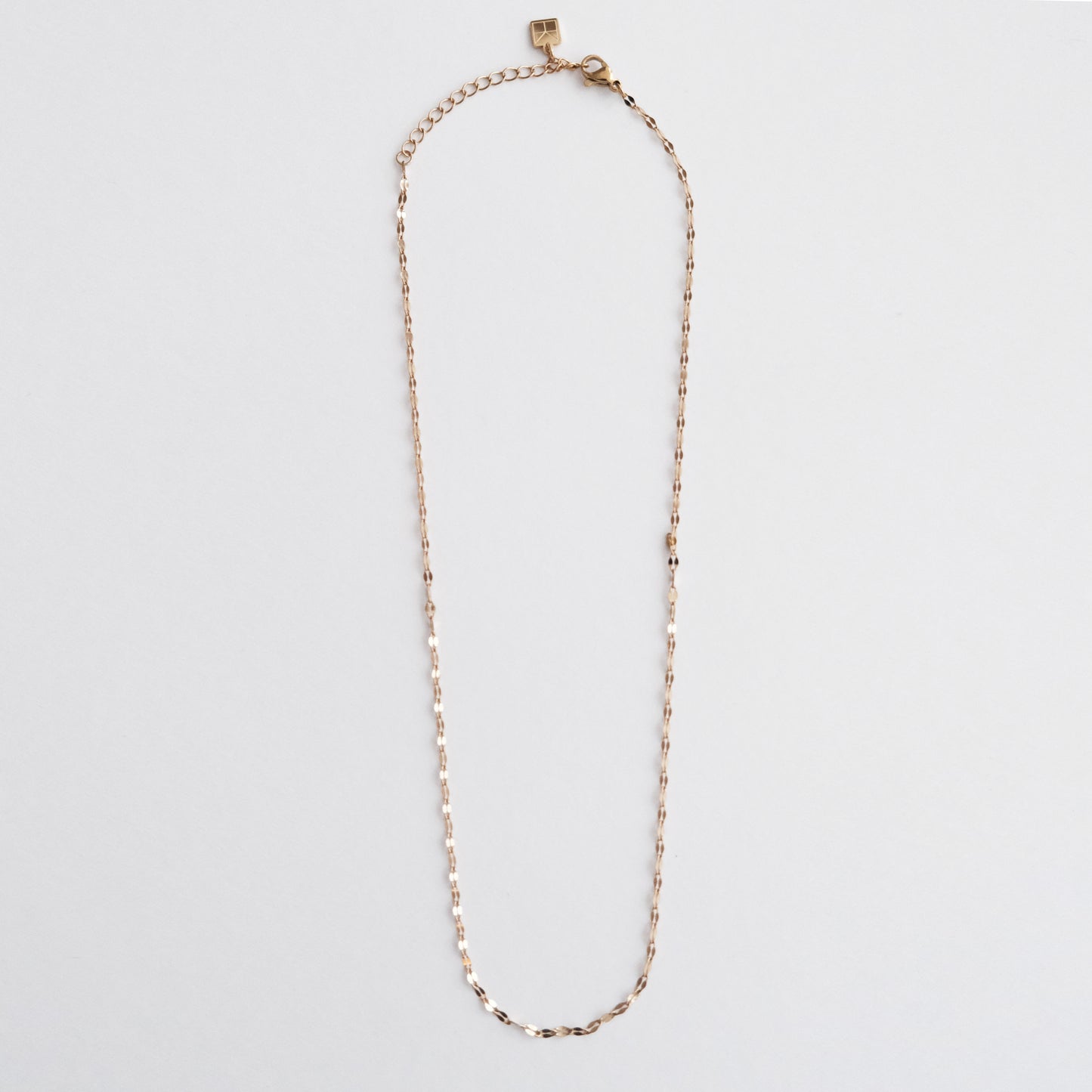 delicate lipchain necklace