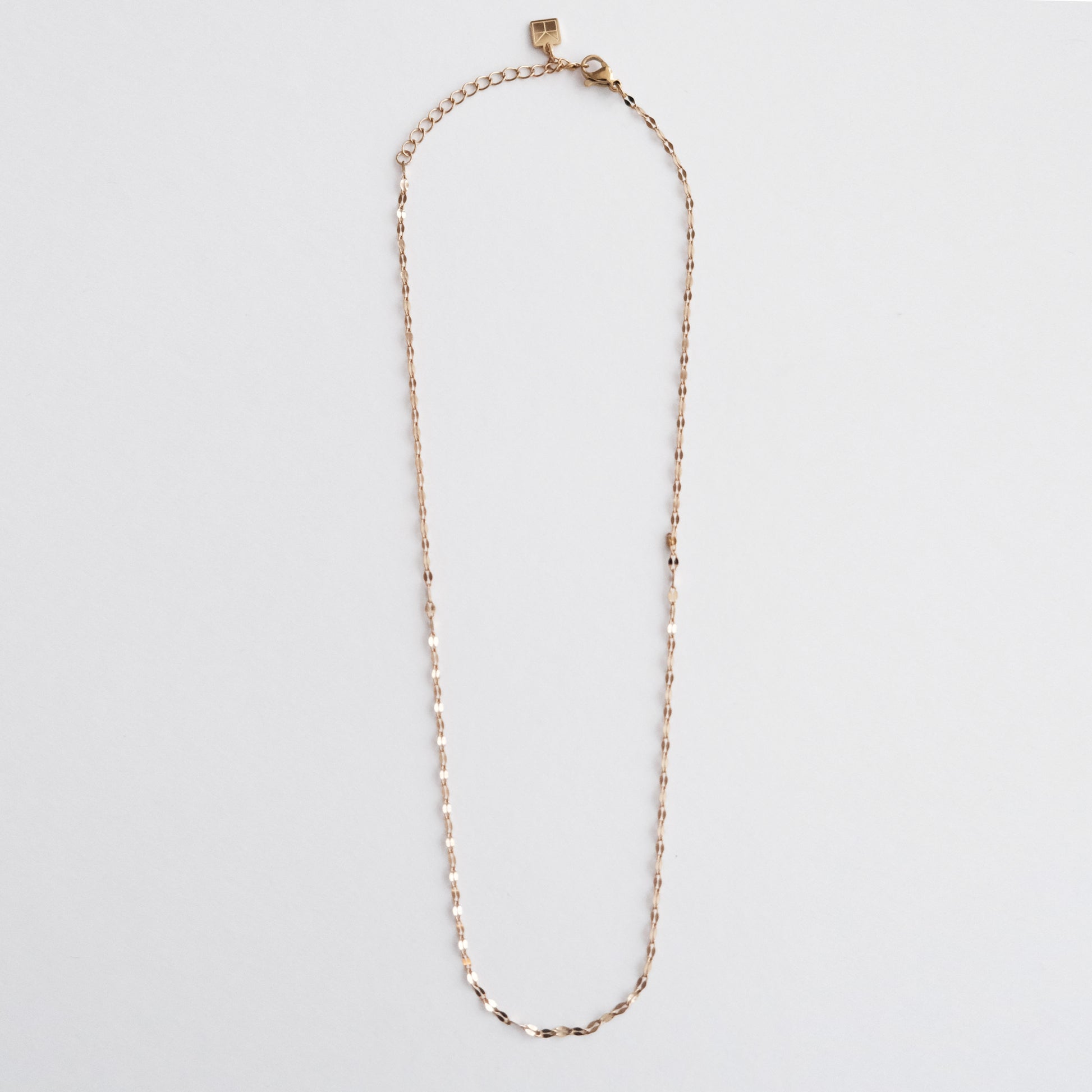 delicate lipchain necklace