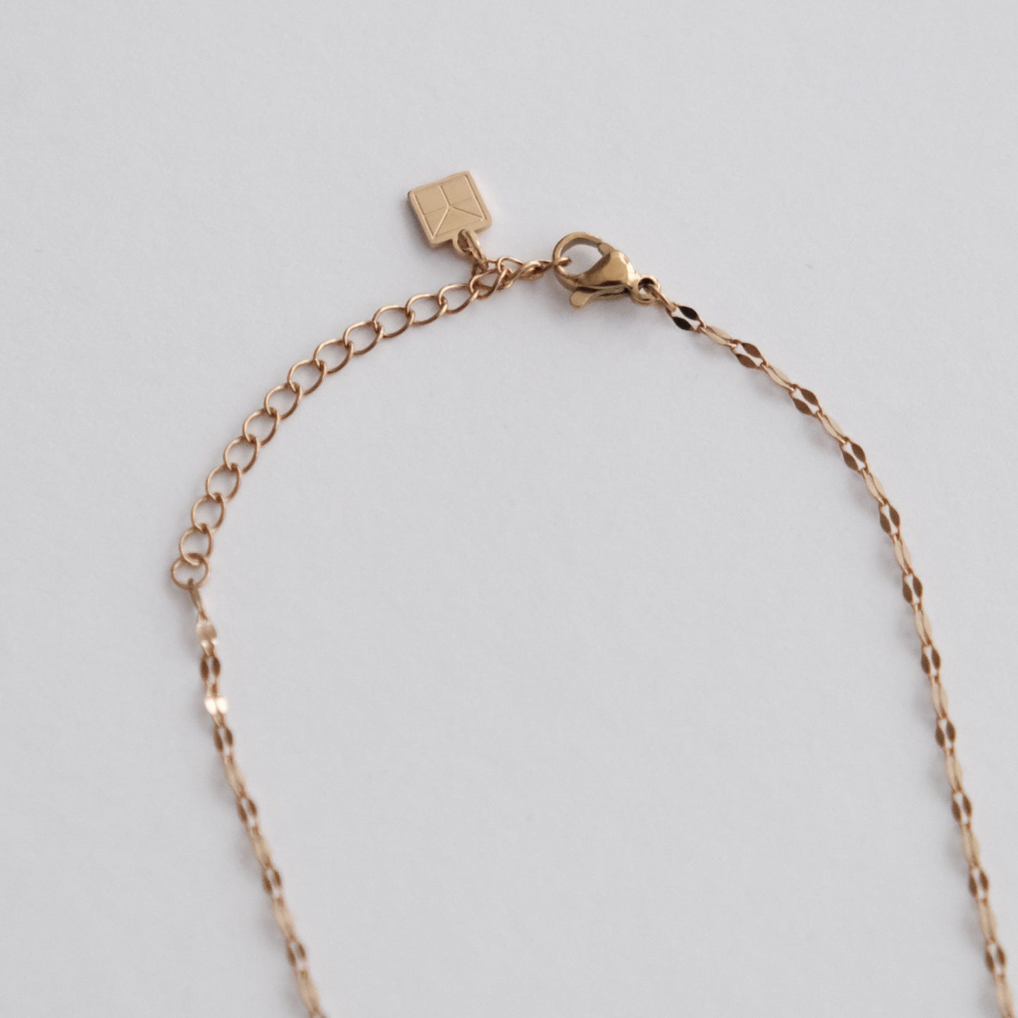 Delicate Lipchain Necklace Gold